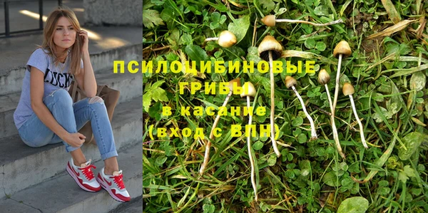 jwh Новозыбков