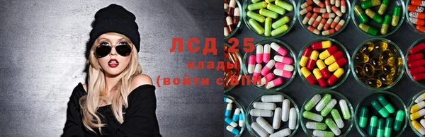 jwh Новозыбков