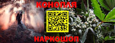 ALPHA-PVP Новозыбков