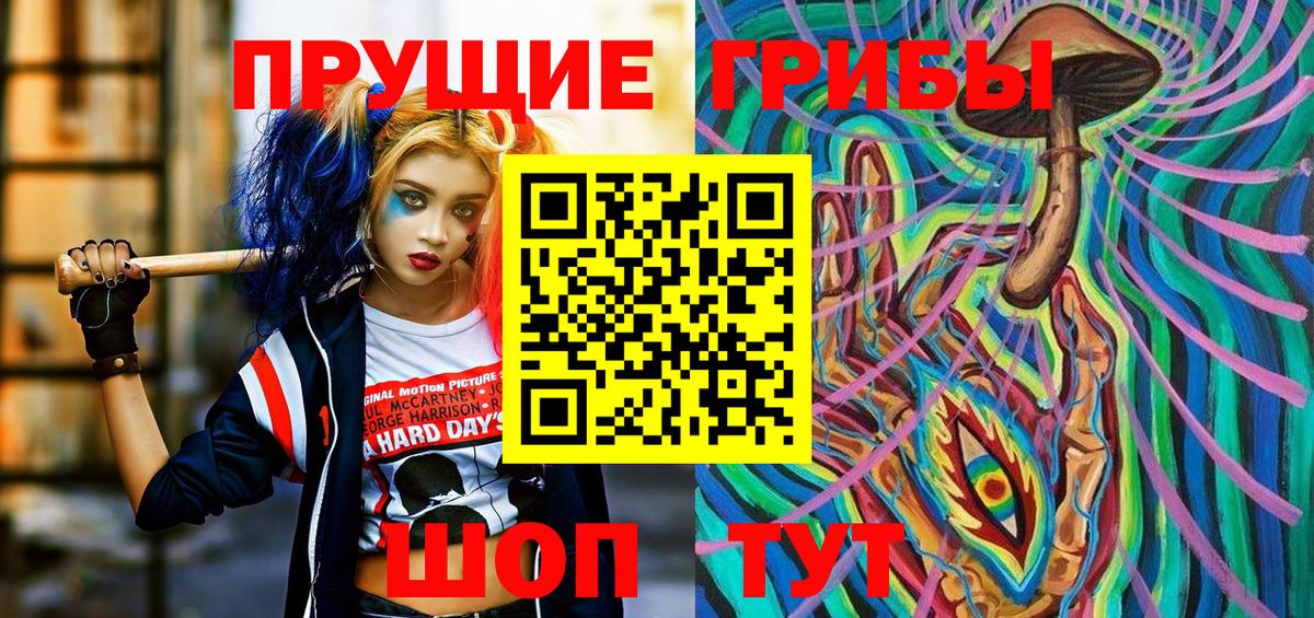 Псилоцибиновые грибы Cubensis  Вход с VPN  Чита 