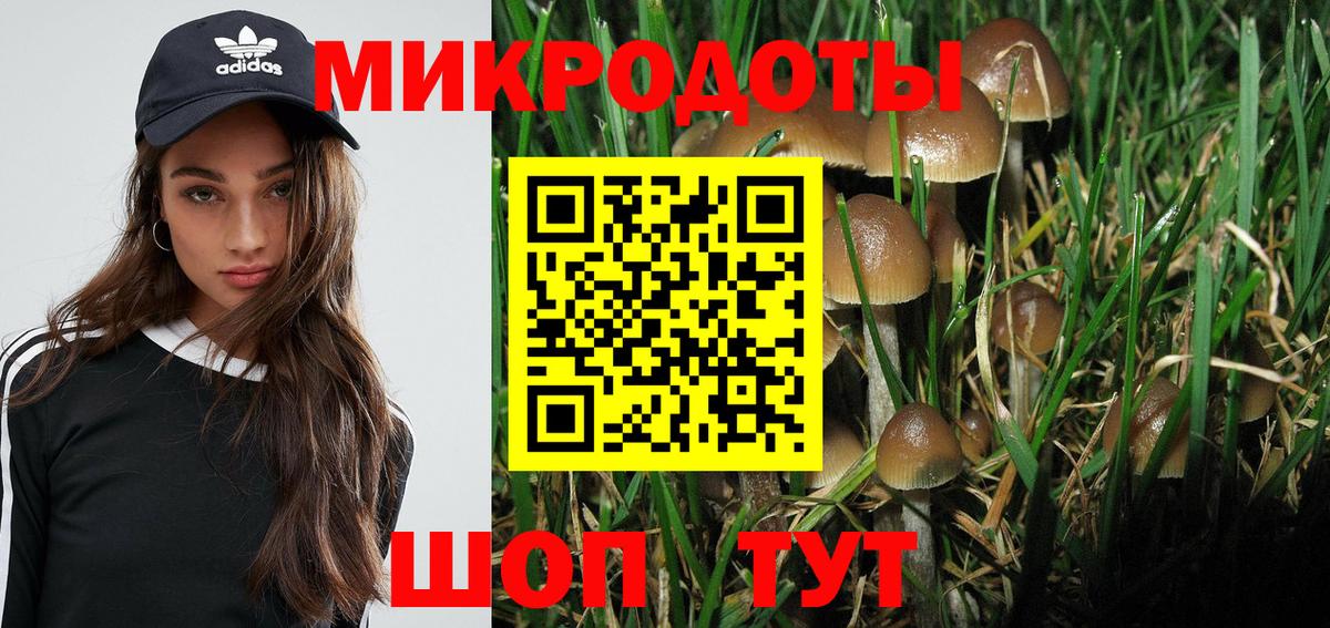 Галлюциногенные грибы GOLDEN TEACHER Чита